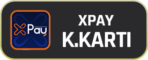 XpayioCard